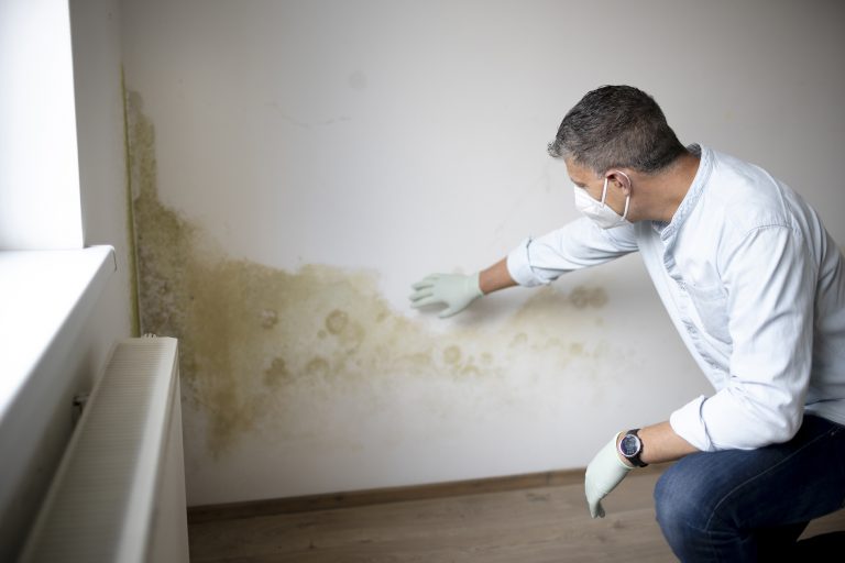 damp and mould prevention manchester